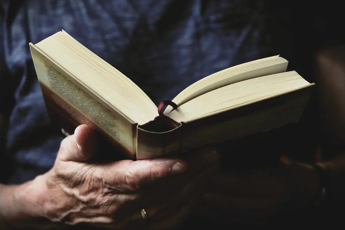 Ilustrasi perpustakaan disabilitas. Image by congerdesign from Pixabay