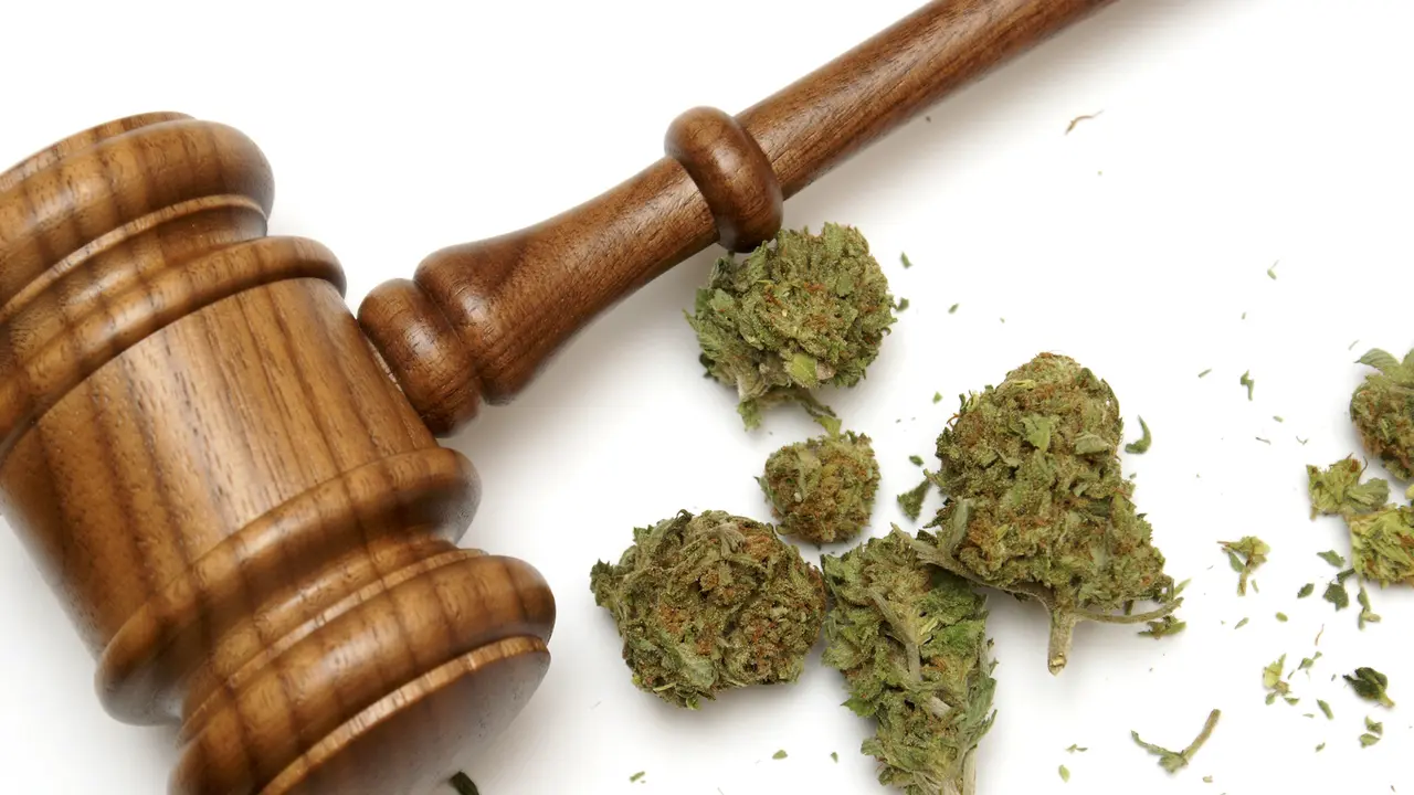 Ganja atau Mariyuana