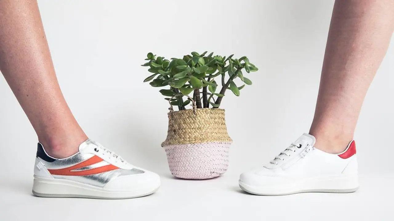 Sepatu pintar