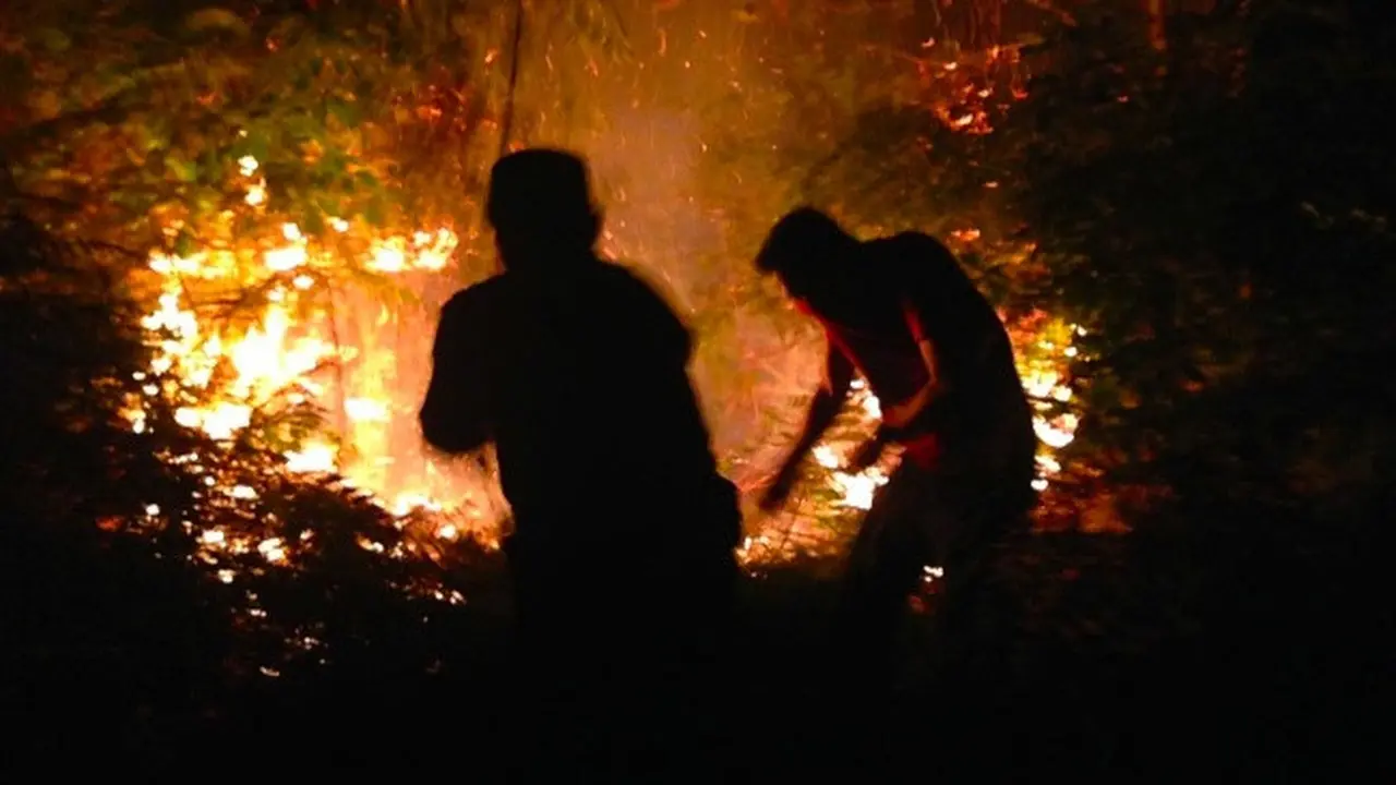 Petugas berjibaku memadamkan kebakaran lahan di Riau sampai malam hari.