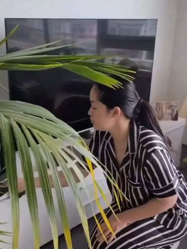 Potret Rumah Gracia Indri di Belanda, Desainnya Simpel tapi Nyaman dan Elegan