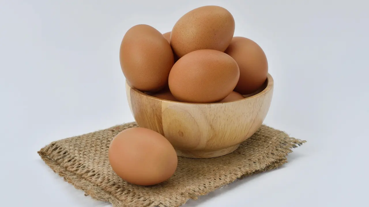Telur