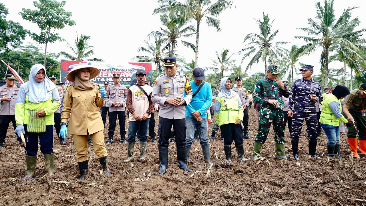 Bupati Banyuwangi Ipuk Fiestiandani (Kanan) lakukan program penanaman 1 Juta Jagung (Istimewa)