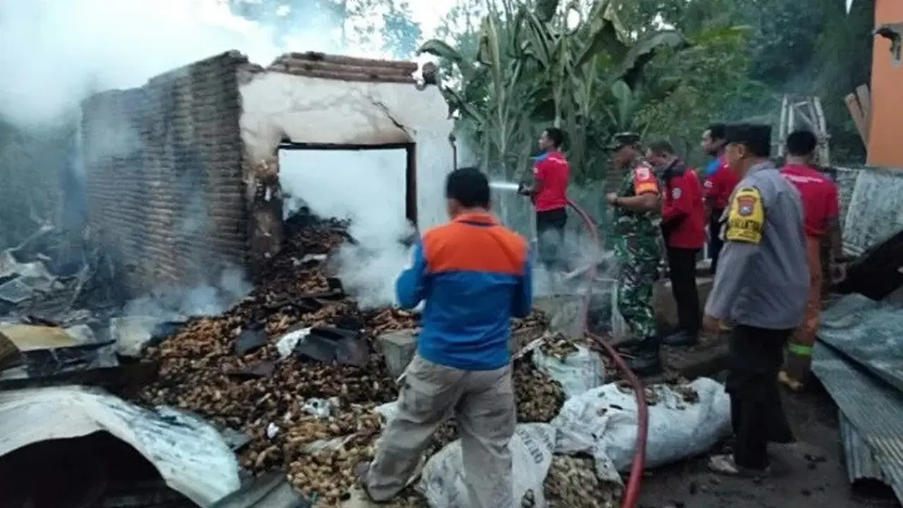 Kebakaran Situbondo