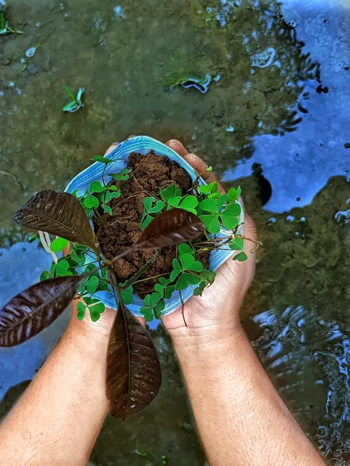 Ilustrasi menjaga sumber daya alam/freepik.com/EyeEm