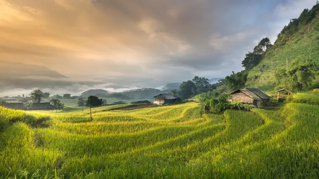 Perbedaan Mukhabarah dan Muzara’ah