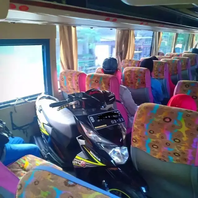 6 Barang Bawaan Nyeleneh Penumpang Transportasi Umum Ini Bikin Tepuk Jidat