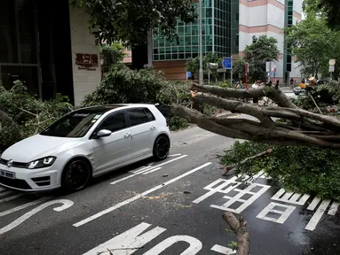 Sebuah mobil melintas diantara pohon-pohon yang tumbang akibat angin yang kuat di Hong Kong, China, 2 Agustus 2016. Hongkong diterjang angin topan Nida. (REUTERS/Tyrone Siu)