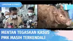 Menjelang Idul Adha, penyakit mulut dan kuku pada ternak masih terjadi. Mentan menegaskan hal ini masih dalam batas aman dan cenderung membaik. Saat ini hanya 82 wilayah yang terdata terkontaminasi dan terbagi dalam blok-blok tertentu.