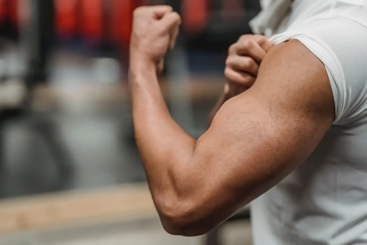 Otot, Gym, dan Fitness