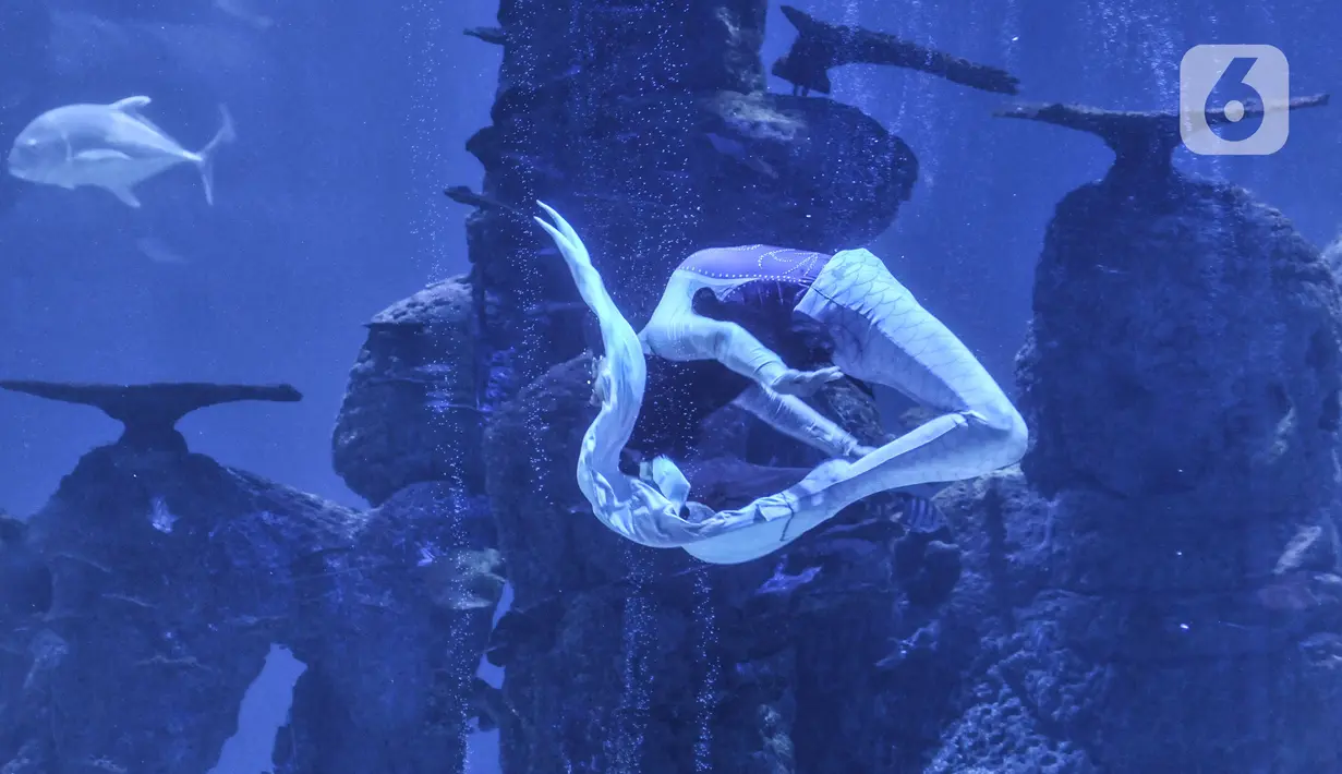 Atraksi putri duyung saat pertunjukkan bawah air di Jakarta Aquarium dan Safari (JAQS), Neo Soho Mall, Jakarta, Rabu  (21/4/2021). JAQS menghadirkan pertunjukkan putri duyung dalam rangka memperingati Hari Kartini. (merdeka.com/Iqbal S Nugroho)