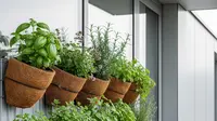 Tips Memilih Pot yang Tepat untuk Sayuran, Lengkap Dengan Cara Menanamnya