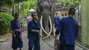 Muthu Raja dipindahkan dari rumah sementaranya di kebun binatang di ibu kota Sri Lanka, Kolombo, sebelum fajar menyingsing, ditemani oleh empat pawang dari Thailand dan seorang pawang dari Sri Lanka, dengan dua kamera CCTV yang memantau kesehatannya selama perjalanan. (Ishara S. KODIKARA / AFP)