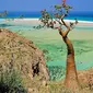 Pulau Socotra tampak seolah-olah berasal dari sebuah film sci-fi tetapi sebenarnya telah berevolusi sebagai "dunia yang hilang". 