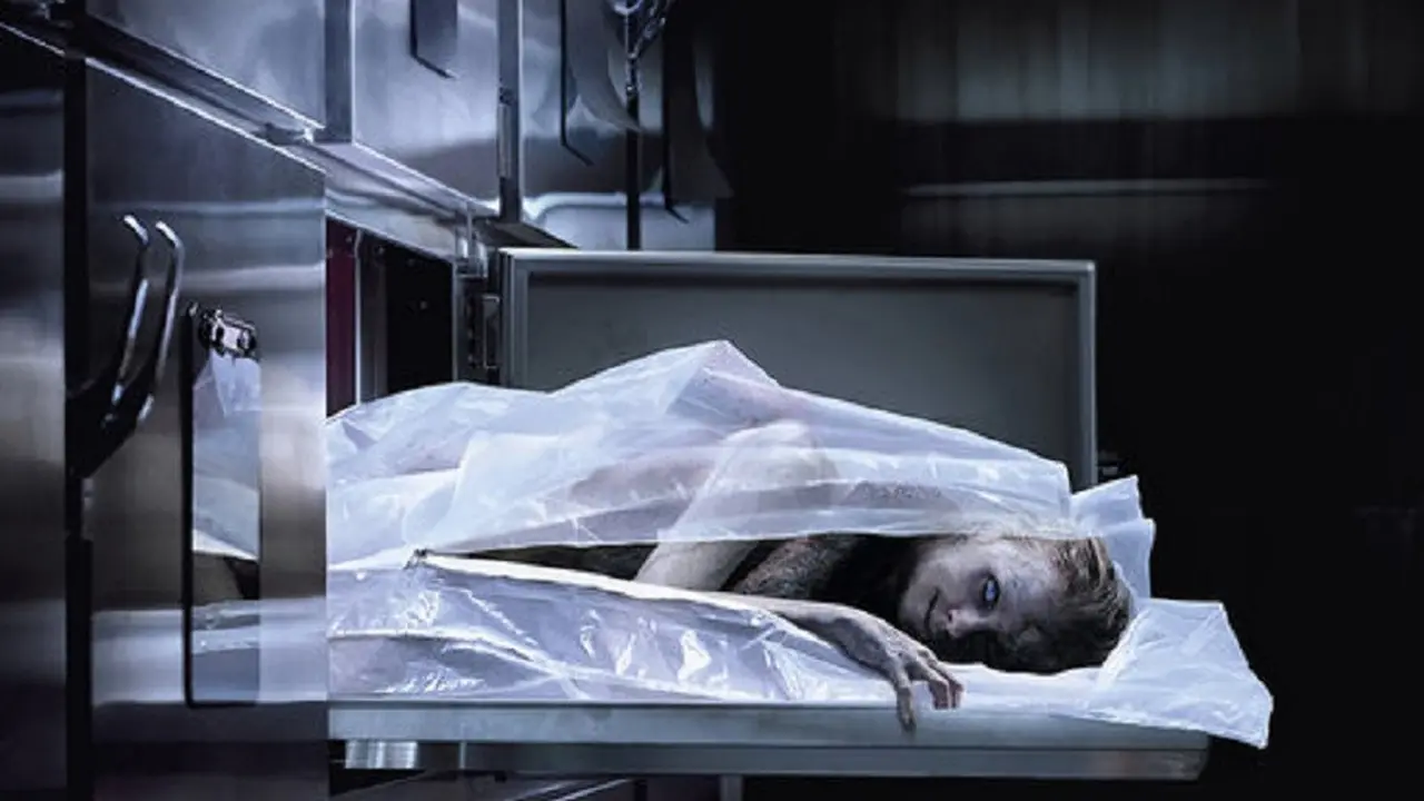 The Possession of Hannah Grace (Sony Pictures)