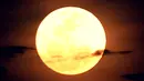 Penampakan supermoon yang terlihat di atas Pantai Sanur, Bali, Senin (14/11). Fenomena ini terjadi saat bulan mencapai titik terdekat dengan bumi dan merupakan fenomena supermoon terbesar dalam 68 tahun terakhir. (SONNY TUMBELAKA/AFP)