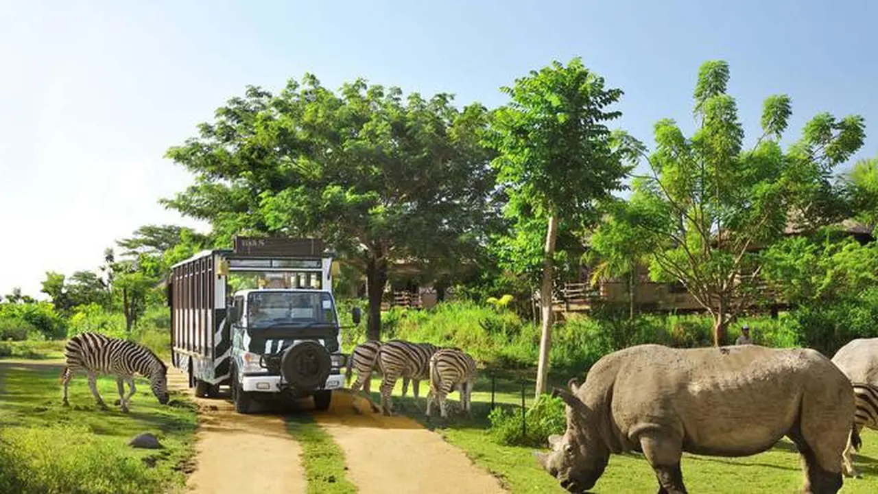 Nikmati Liburan Bersama Keluarga di Bali Safari dan Marine Park