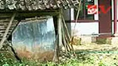 liputan6