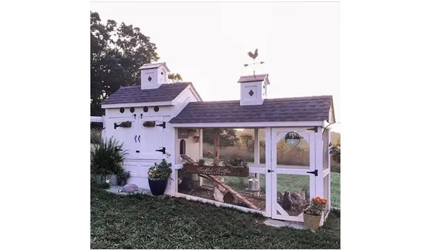 7 Potret Kandang Ayam ini Punya Desain Unik Hingga Mewah, Kreatif Banget