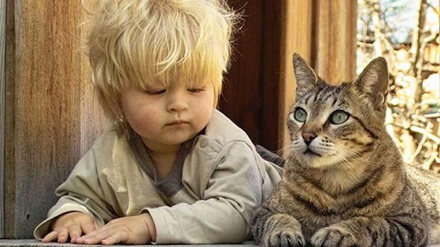 Tingkah Lucu Bayi Besar Bersama Hewan Peliharaanya