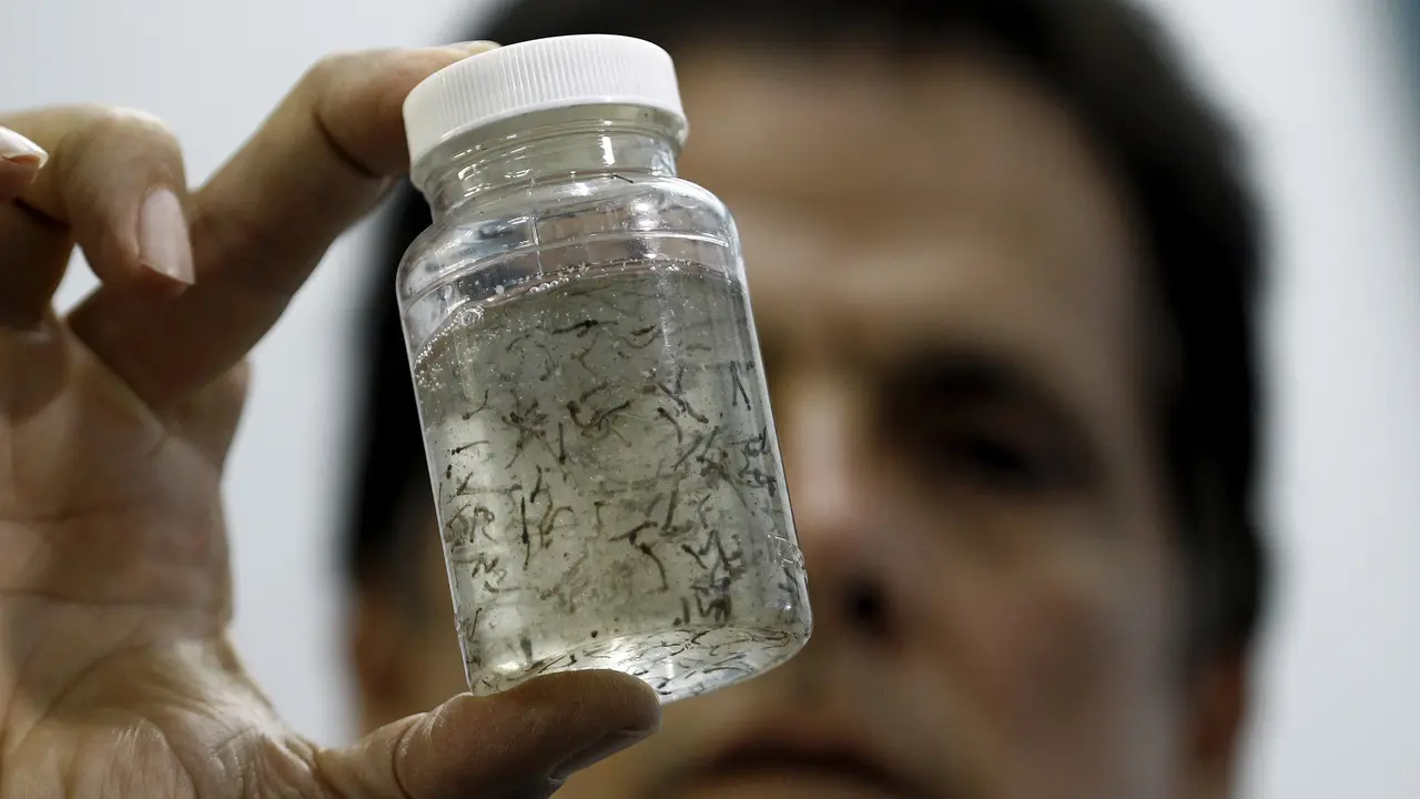 20160127-Inilah Larva Virus yang Mulai Mengancam Dunia