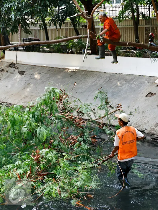 Petugas Dinas Kebersihan DKI Jakarta mengangkat sampah pohon di saluran air Bundaran HI, Jakarta, Minggu (15/11/2015). Memasuki musim hujan, Pemda DKI Jakarta giat membersihkan saluran air. (Liputan6.com/Yoppy Renato)