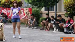 Citizen6, Yogyakarta: Kontes anjing ini diikuti puluhan ekor anjing dari berbagai macam jenis yang berbeda. (Pengirim: Duta)