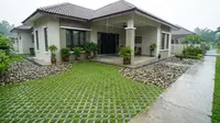 7 Tanaman Hijau yang Membuat Paving Halaman Rumah Lebih Adem ala Taman Tropis