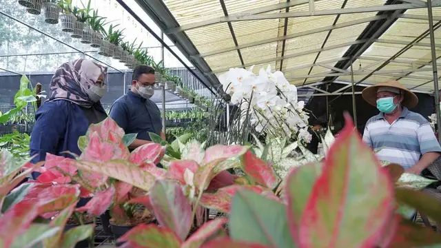 Cerita Anies Baswedan dan Istri Kunjungi Taman Anggrek Ragunan