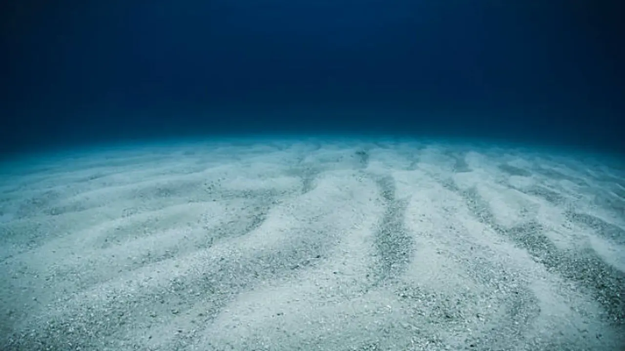 Ilustrasi dasar laut