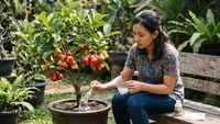 7 Cara Mengerdilkan Pohon Jambu Air agar Cepat Berbuah Meski Ditanam di Pot, Hemat Lahan
