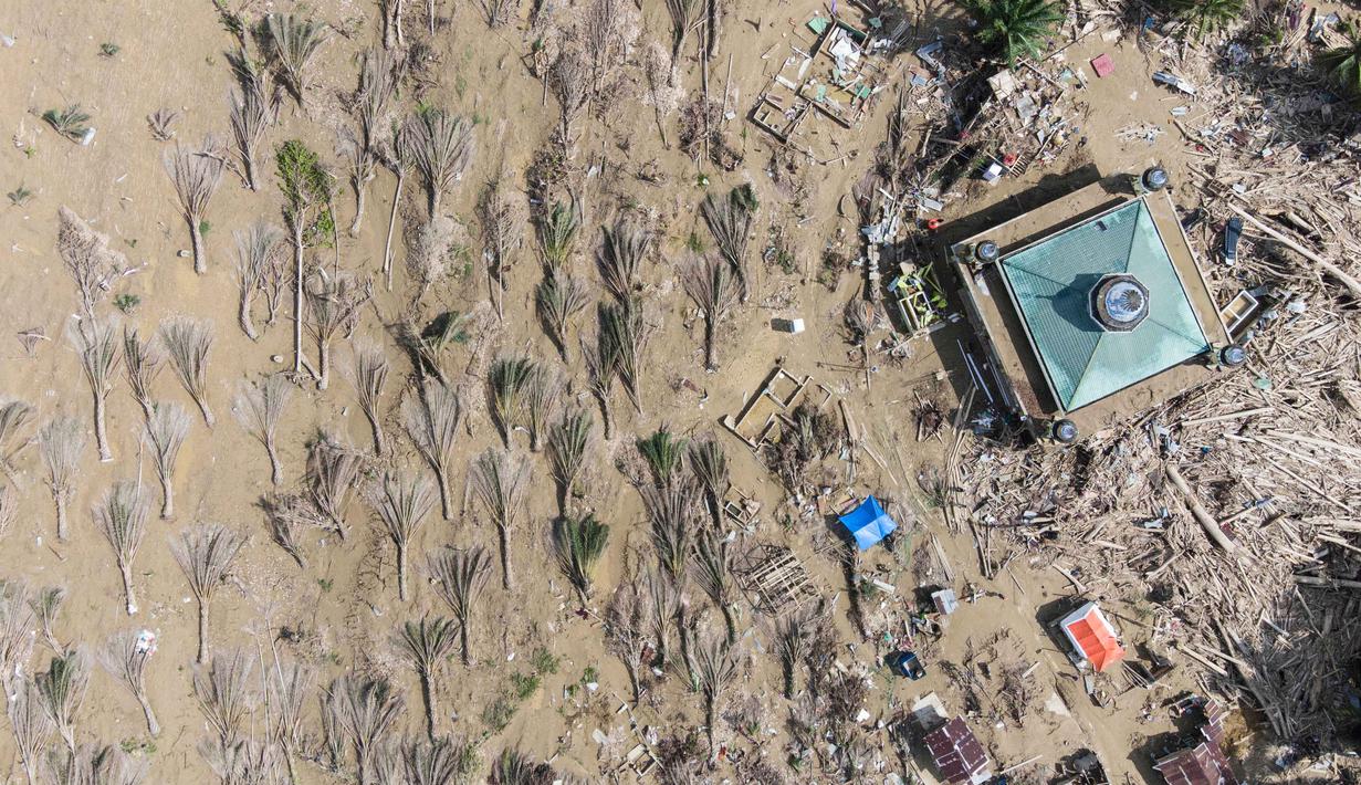 Foto udara yang diambil menggunakan drone menunjukkan pohon-pohon kelapa sawit yang tumbang akibat banjir bandang di desa Sekumur, Aceh Tamiang, Senin, 29 Desember 2025. Musibah banjir bandang yang melanda wilayah Aceh Tamiang pada 26 November 2025 lalu menyisakan pemandangan pilu di Desa Sekumur, Kecamatan Sekerak. (AP Photo/Binsar Bakkara)