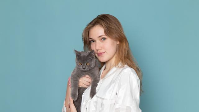 Ilustrasi menggendong kucing