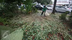 Pekerja membersihkan sampah berserakan di taman yang rusak di depan gedung Balai Kota Jakarta, Jumat (14/10). Taman tersebut rusak akibat banyaknya pengunjuk rasa yang menginjak-injak serta duduk di atas tanaman. (Liputan6.com/Immanuel Antonius)