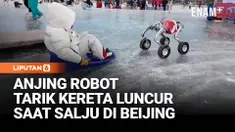 Anjing robot berteknologi AI menjadi atraksi baru di gelanggang es Shichahai, Beijing. Wahana ini memungkinkan pengunjung menaiki sled yang ditarik robot, menghadirkan pengalaman unik wisata musim dingin dengan batas berat tertentu.