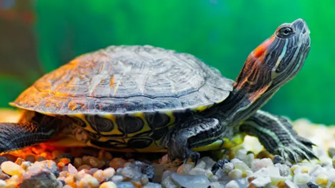 Photo: Copyright shanghaiist.com