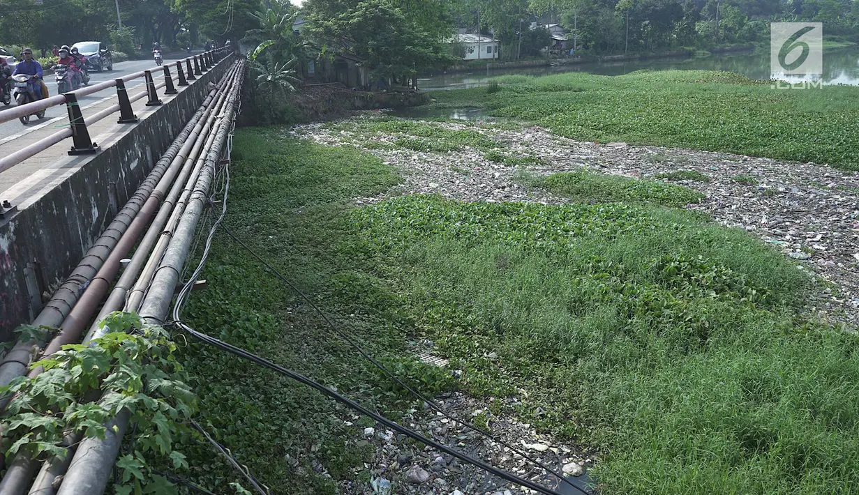 Kendaraan melintasi jembatan Setu Pengarengan yang dipenuhi sampah dan eceng gondok di Depok, Jawa Barat, Selasa (7/5/2019). Kurangnya perawatan menyebabkan Setu Pengarengan kian memprihatinkan. (Liputan6.com/Immanuel Antonius)