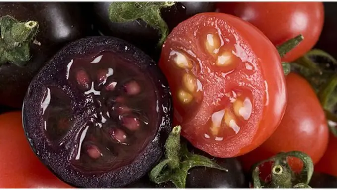 Foto: copyright Dailymail.co.uk