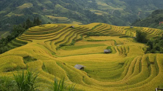 Ha Giang