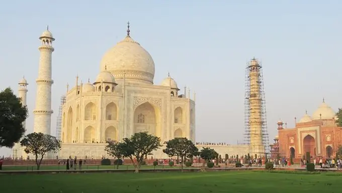 copyright pexels.com/ahill88