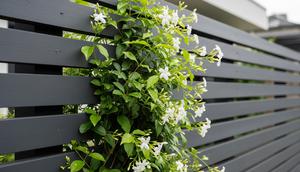 Pagar Rumah Minimalis dengan Tanaman Berbunga (Gemini AI)