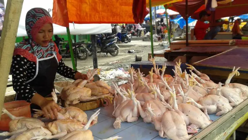 Penjual Ayam di Palu