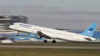 Pesawat nahas Rusia yang terbang dari Sharm el-Sheikh menuju St Petersburg pada hari Sabtu 31 Oktober pagi. (Reuters)