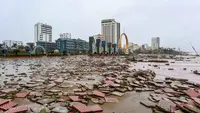 Pemandangan Pantai Cua Lo yang rusak setelah terjangan Topan Bualoi di Provinsi Nghe An, Vietnam pada 29 September 2025. (Thai An/AFP)