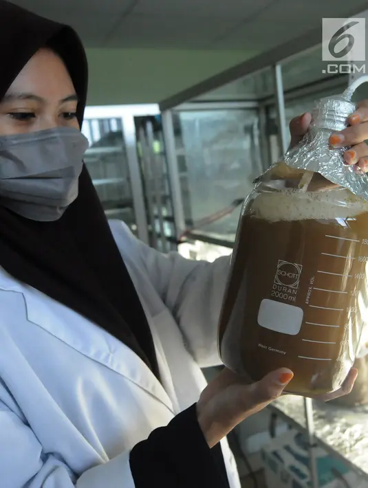 Peneliti menunjukkan tabung berisi mikroorganisme bawah laut di Laboratorium BPPT, Serpong, Tangsel, Banten, Kamis (10/1). Mikroorganisme tersebut dapat digunakan sebagai pengganti minyak bumi (bio fuel). (Merdeka.com/Arie Basuki)
