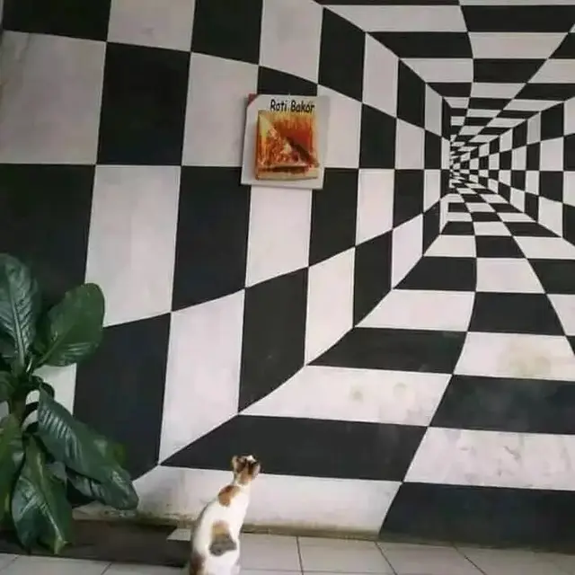 6 Ilusi Optik Bentuk Papan Catur Hitam Putih Ini Bikin Pusing