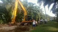 Alat berat milik pecatan TNI yang kuasai ribuan hektar lahan Cagar Biosfer. (Liputan6.com/M Syukur)