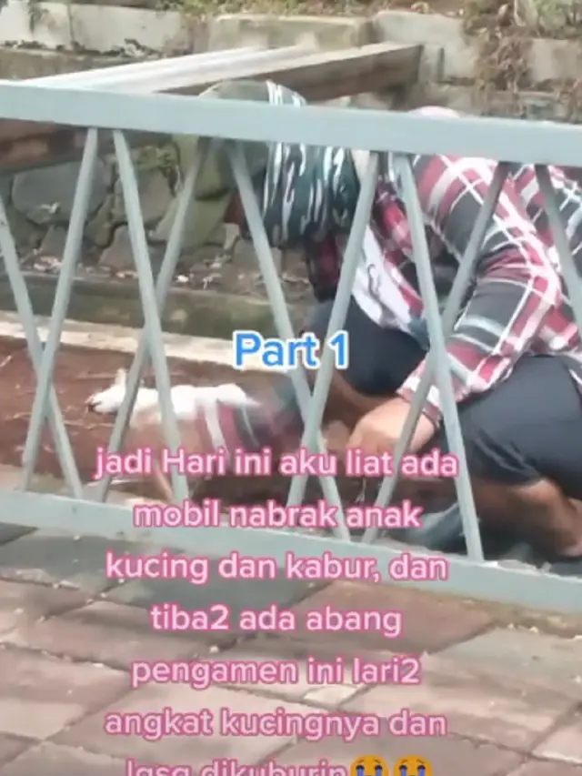 Viral Pengamen Kubur Kucing Korban Tabrak Lari Tuai Pujian Warganet