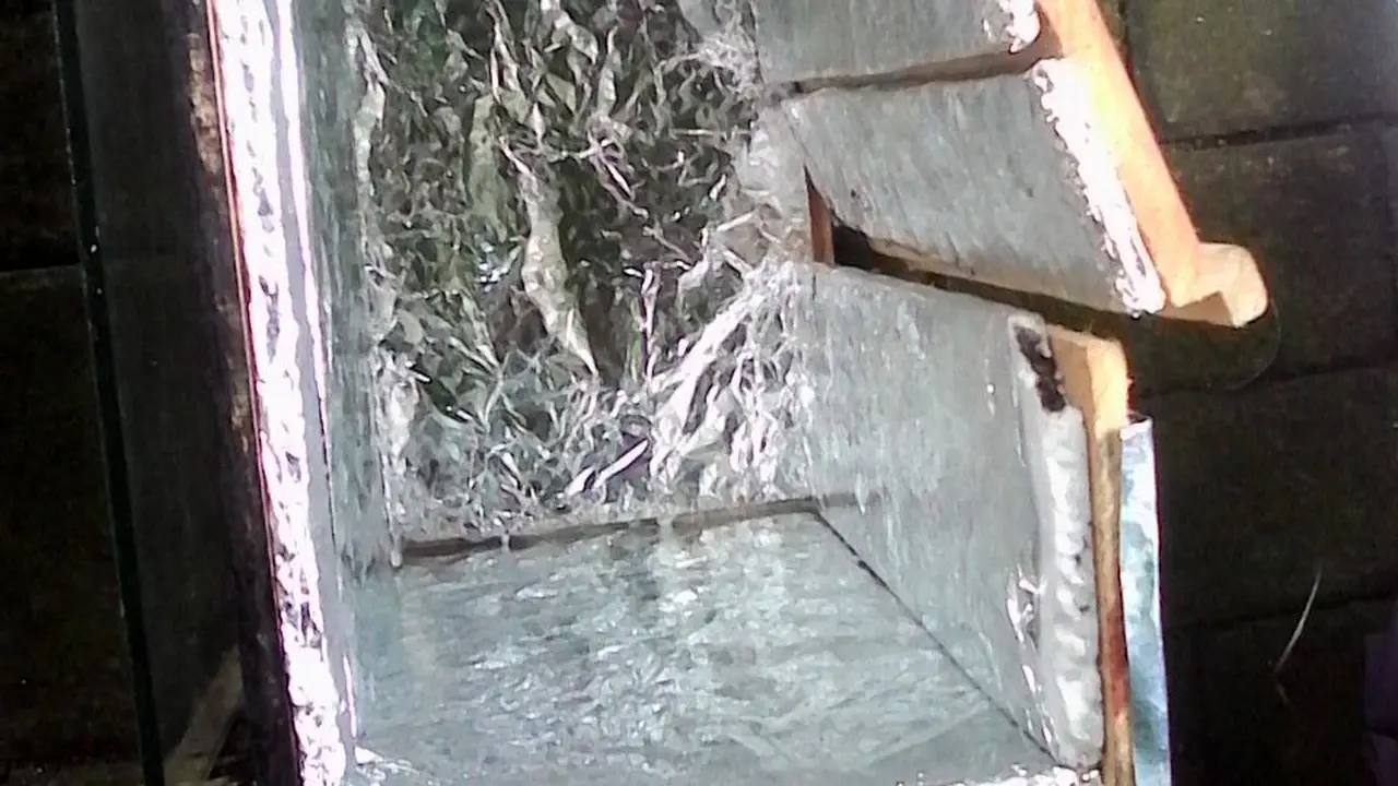 Smart Fish House