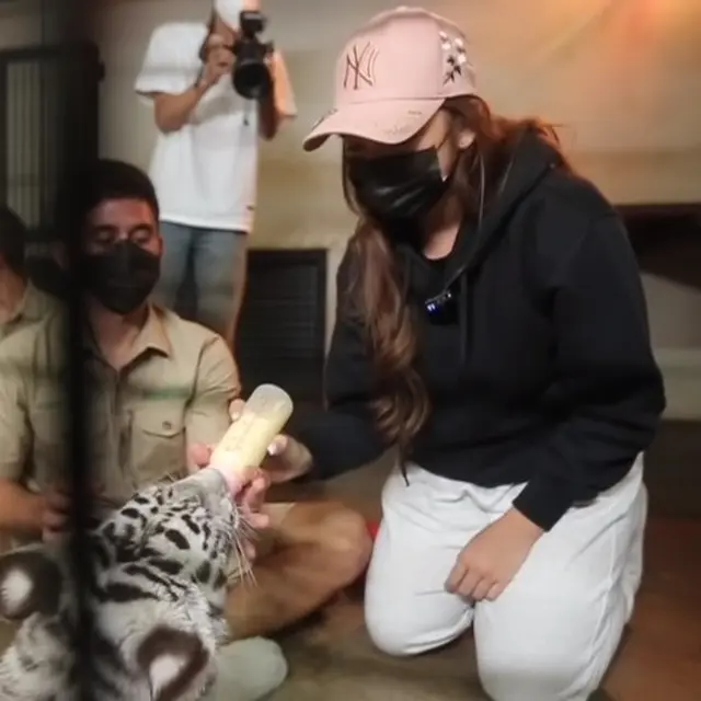 Tiara Andini bersama bayi harimau Selena. (Foto: Instagram/tiaraandini)